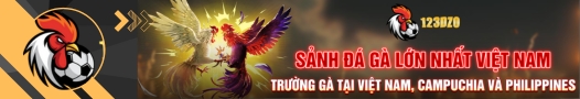 Banner Cá cược bóng đá ⭐️ Giải mã – Soi kèo nhà cái hôm nay keonhacai5