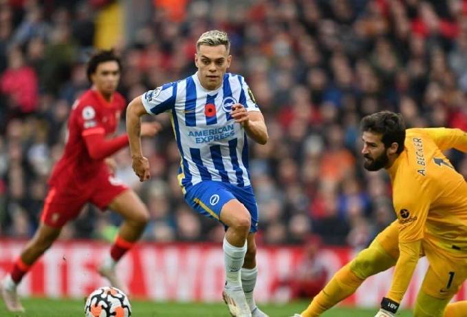 Nhận định soi kèo Brighton vs Liverpool, 2h30 ngày 31/10: Trận chiến đỉnh cao ở Cúp Liên đoàn