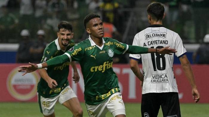 Nhận định soi kèo Palmeiras vs Botafogo, 07h30 ngày 27/11: “Chung kết” là đây