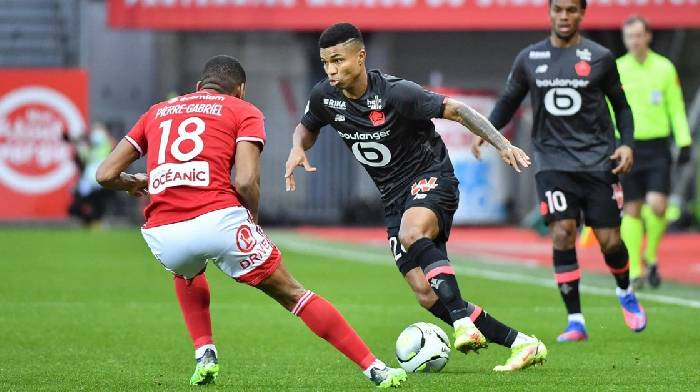 Nhận Định Soi Kèo Lille Vs Brest 1h00 Ngày 7/12