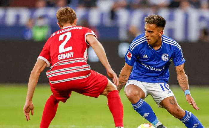 Nhận Định Soi Kèo Zurich Vs Schalke 19h00 Ngày 9/1